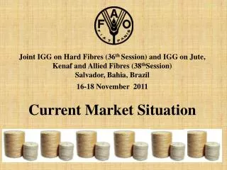 Joint IGG on Hard Fibres ( 36 th Session) and IGG on Jute, Kenaf and Allied Fibres ( 38 th Session) Salvador, Bahia,