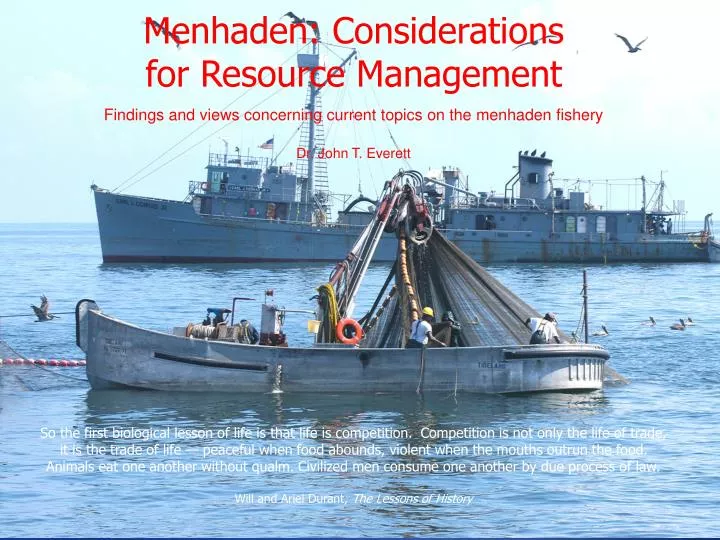 menhaden considerations for resource management