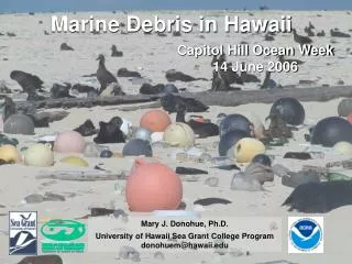 Marine Debris in Hawaii