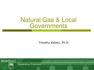 Natural Gas &amp; Local Governments