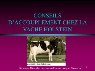 CONSEILS D’ACCOUPLEMENT CHEZ LA VACHE HOLSTEIN