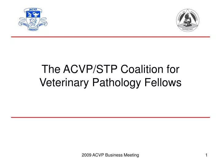 the acvp stp coalition for veterinary pathology fellows