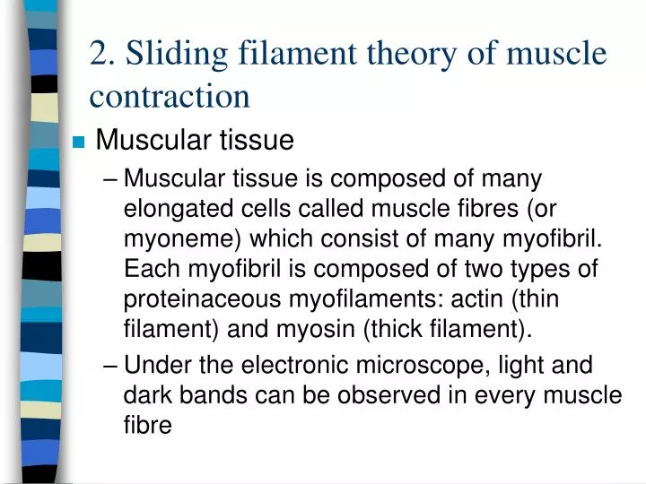 2 sliding filament theory of muscle contraction