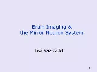 Brain Imaging &amp; the Mirror Neuron System