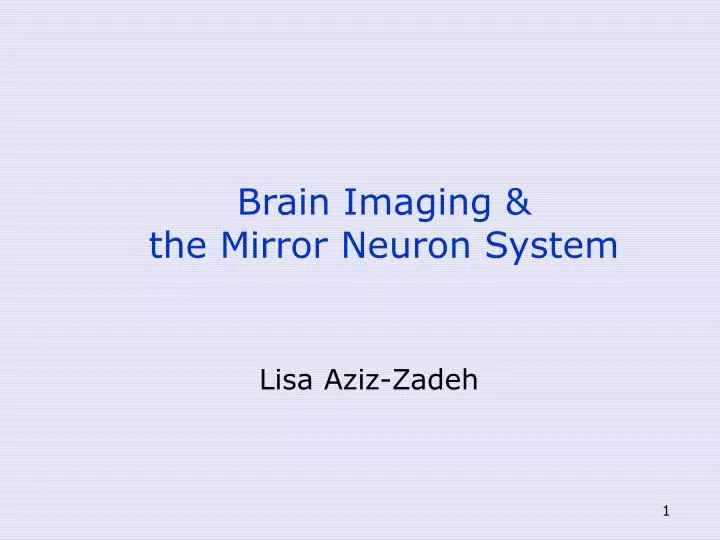 brain imaging the mirror neuron system