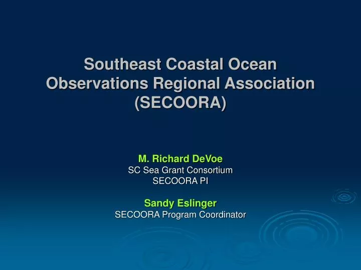 southeast coastal ocean observations regional association secoora