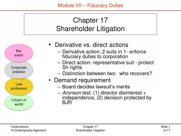 chapter 17 shareholder litigation