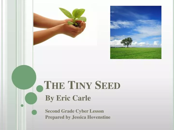 the tiny seed