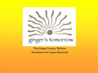 The Ginger Launey DeSalvo Foundation for Lupus Research
