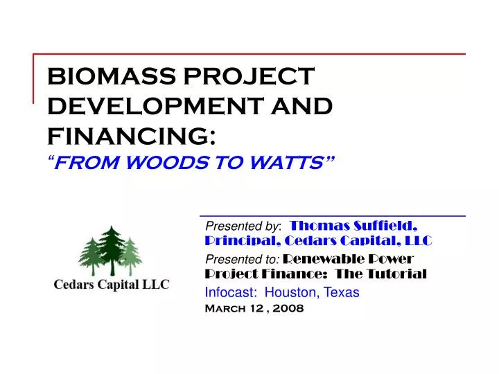 biomass project development and financing from woods to watts