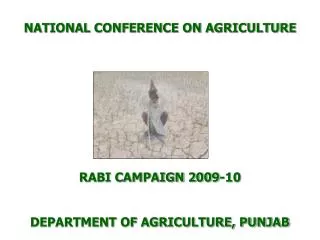 NATIONAL CONFERENCE ON AGRICULTURE RABI CAMPAIGN 2009-10 DEPARTMENT OF AGRICULTURE, PUNJAB