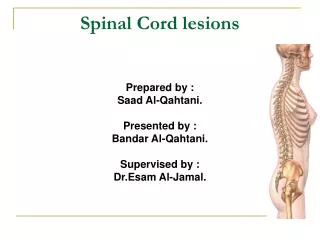 Spinal Cord lesions