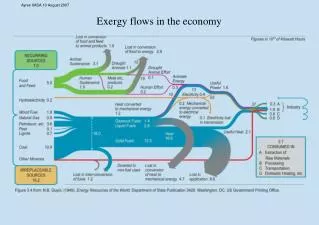 Exergy flows in the economy