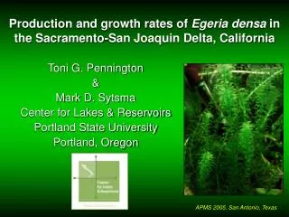 Production and growth rates of Egeria densa in the Sacramento-San Joaquin Delta, California