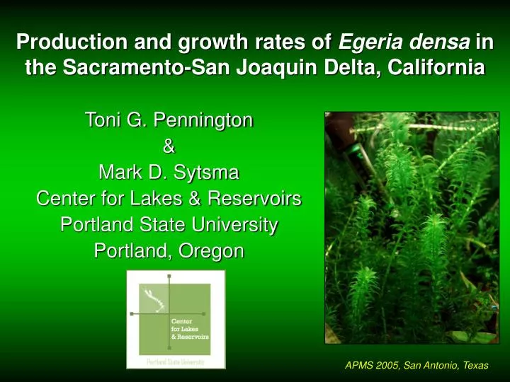 production and growth rates of egeria densa in the sacramento san joaquin delta california