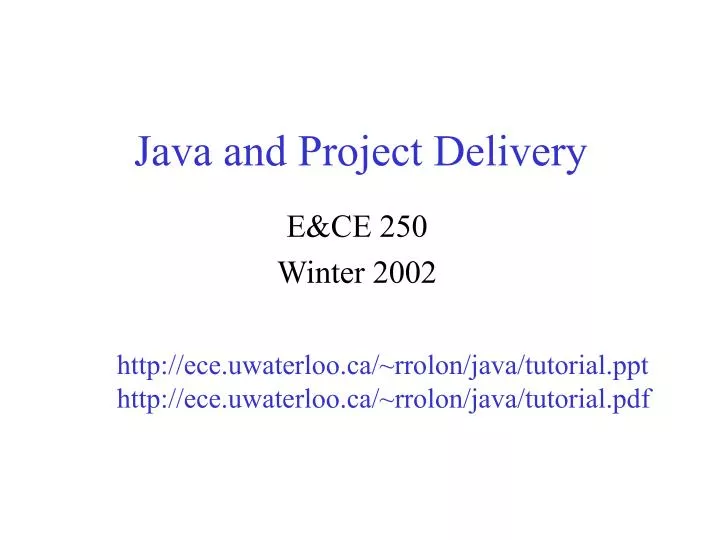 java and project delivery