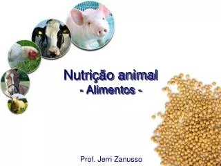 Nutrição animal - Alimentos -
