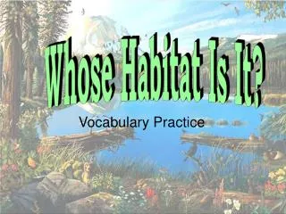 Vocabulary Practice