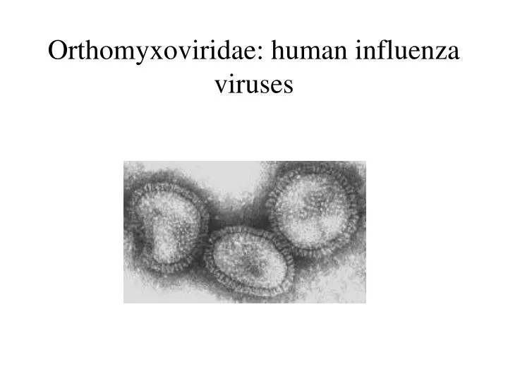 orthomyxoviridae human influenza viruses