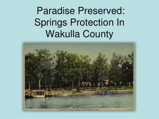 Paradise Preserved: Springs Protection In Wakulla County