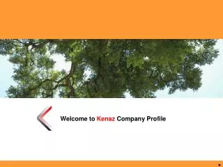Welcome to Kenaz Company Profile