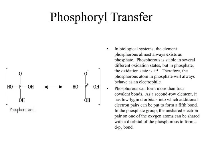 phosphoryl transfer