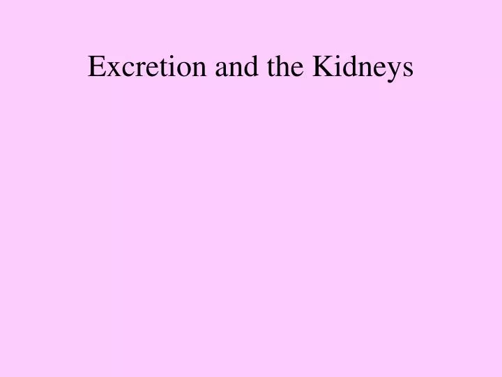 excretion and the kidneys