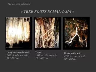 My last year paintings: « TREE ROOTS IN MALAYSIA  »