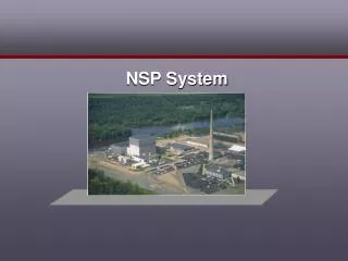 NSP System