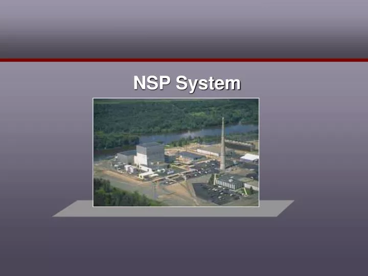 nsp system
