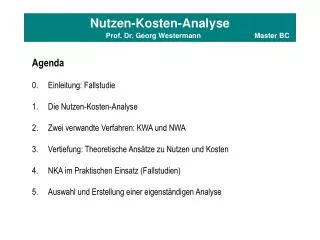 Nutzen-Kosten-Analyse Prof. Dr. Georg Westermann		Master BC