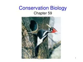 Conservation Biology Chapter 59