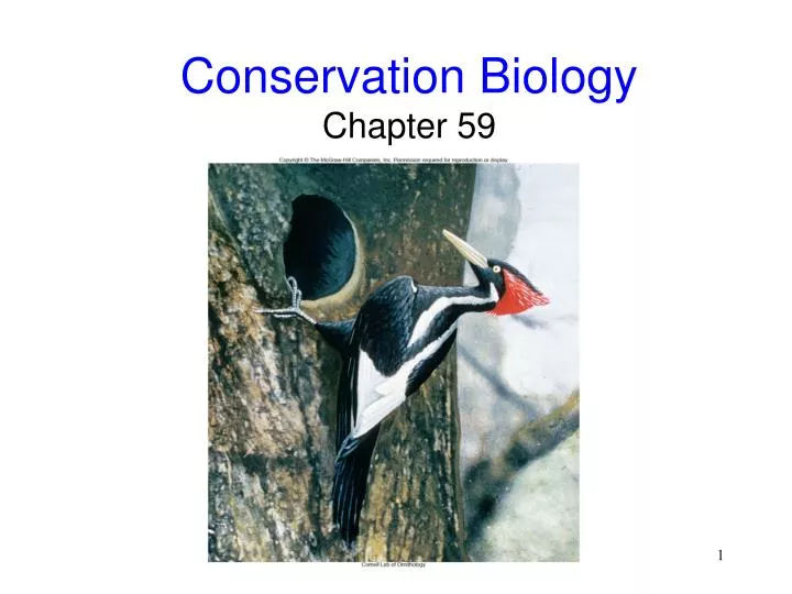 conservation biology chapter 59