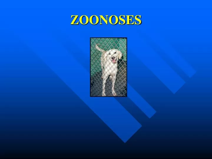 zoonoses
