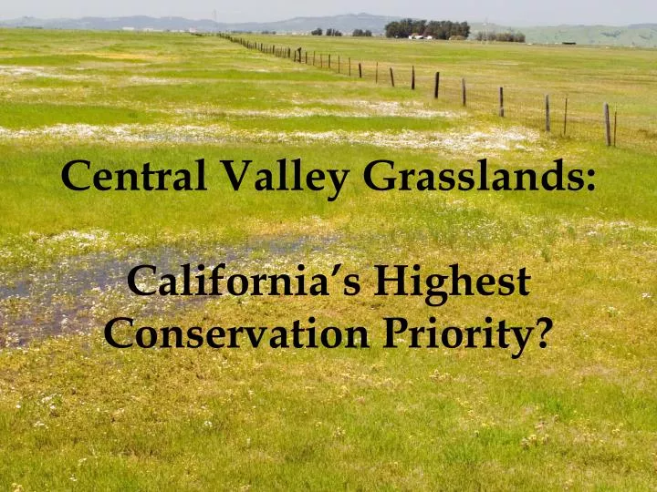 central valley grasslands california s highest conservation priority