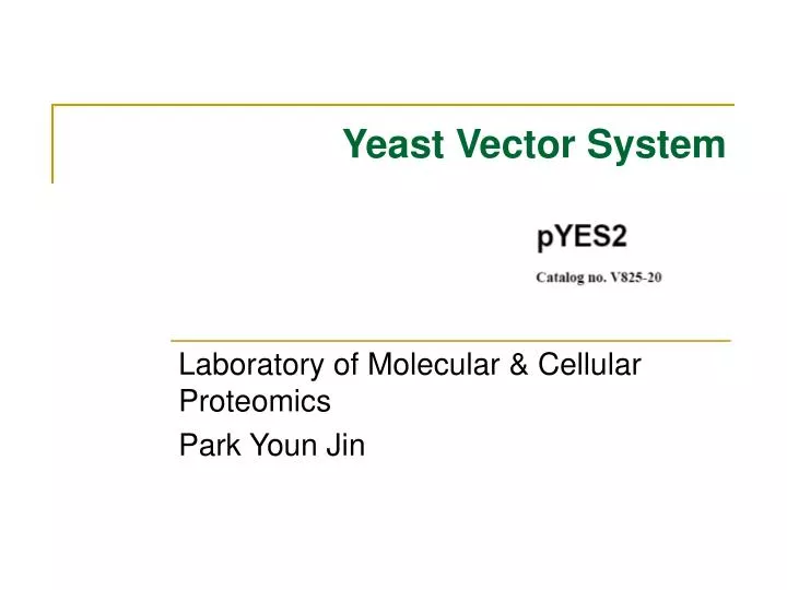 yeast vector system