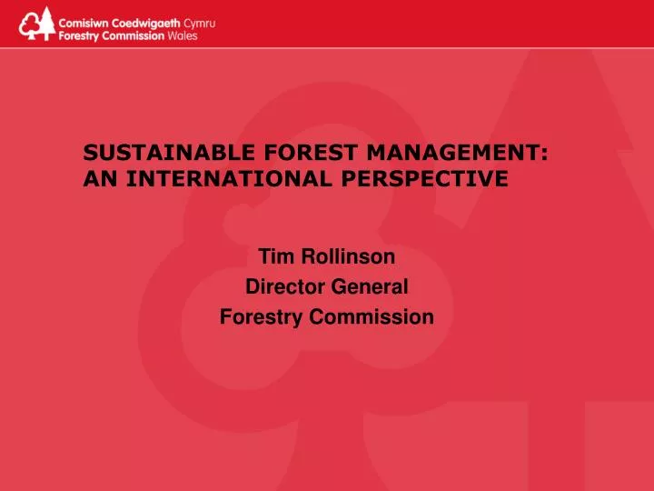 sustainable forest management an international perspective