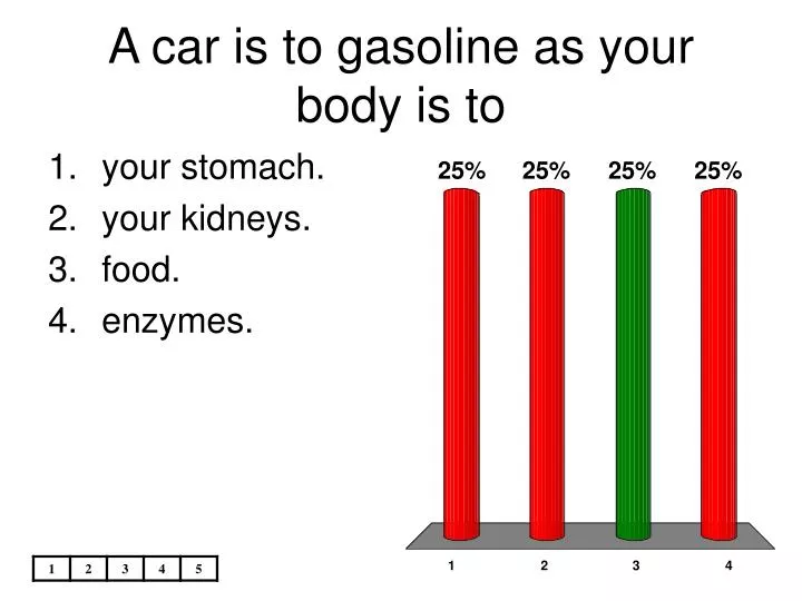 a car is to gasoline as your body is to