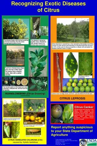 Recognizing Exotic Diseases of Citrus