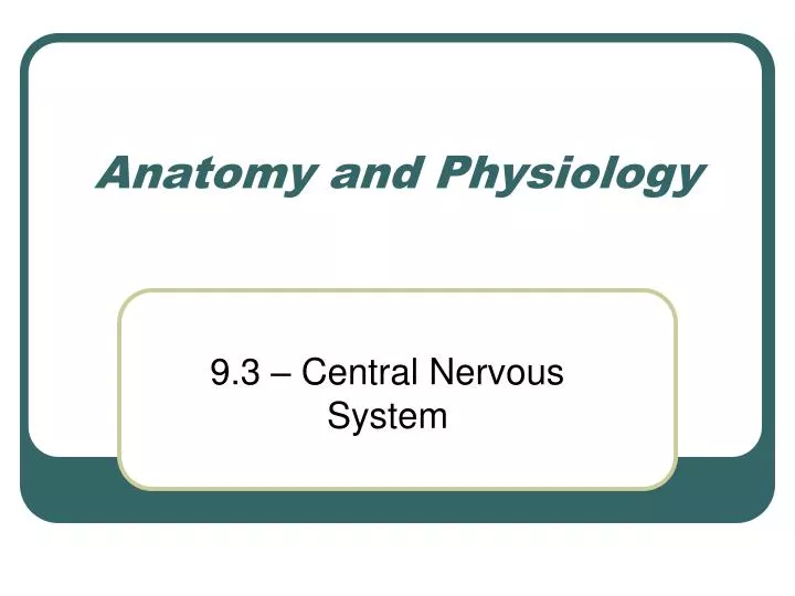 anatomy and physiology