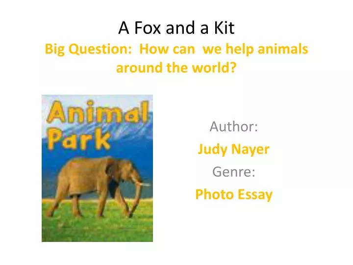 a fox and a kit big question how can we help animals around the world