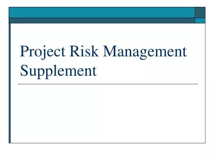 project risk management supplement