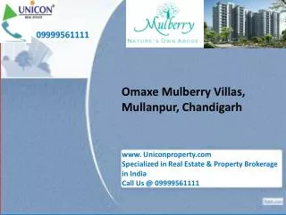 Omaxe mulberry villa Chandigarh