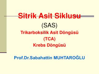 Sitrik A sit Siklusu (SAS) Trikarboksilik Asit Döngüsü (TCA) Krebs Döngüsü Prof.Dr.Sabahattin MUHTAROĞLU