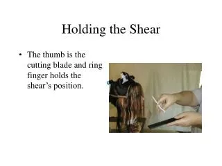 Holding the Shear