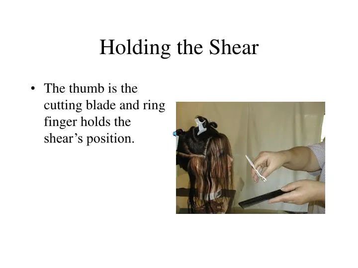 holding the shear