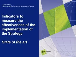 Indicators to measure the effectiveness of the implementation of the Strategy State of the art