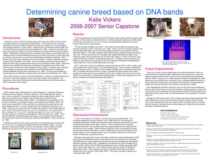 determining canine breed based on dna bands katie vickers 2006 2007 senior capstone