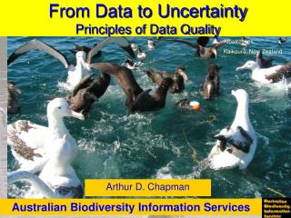 From Data to Uncertainty Principles of Data Quality