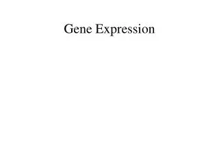 gene expression